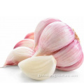 Best Sale Fresh 5.5cm Red Garlic